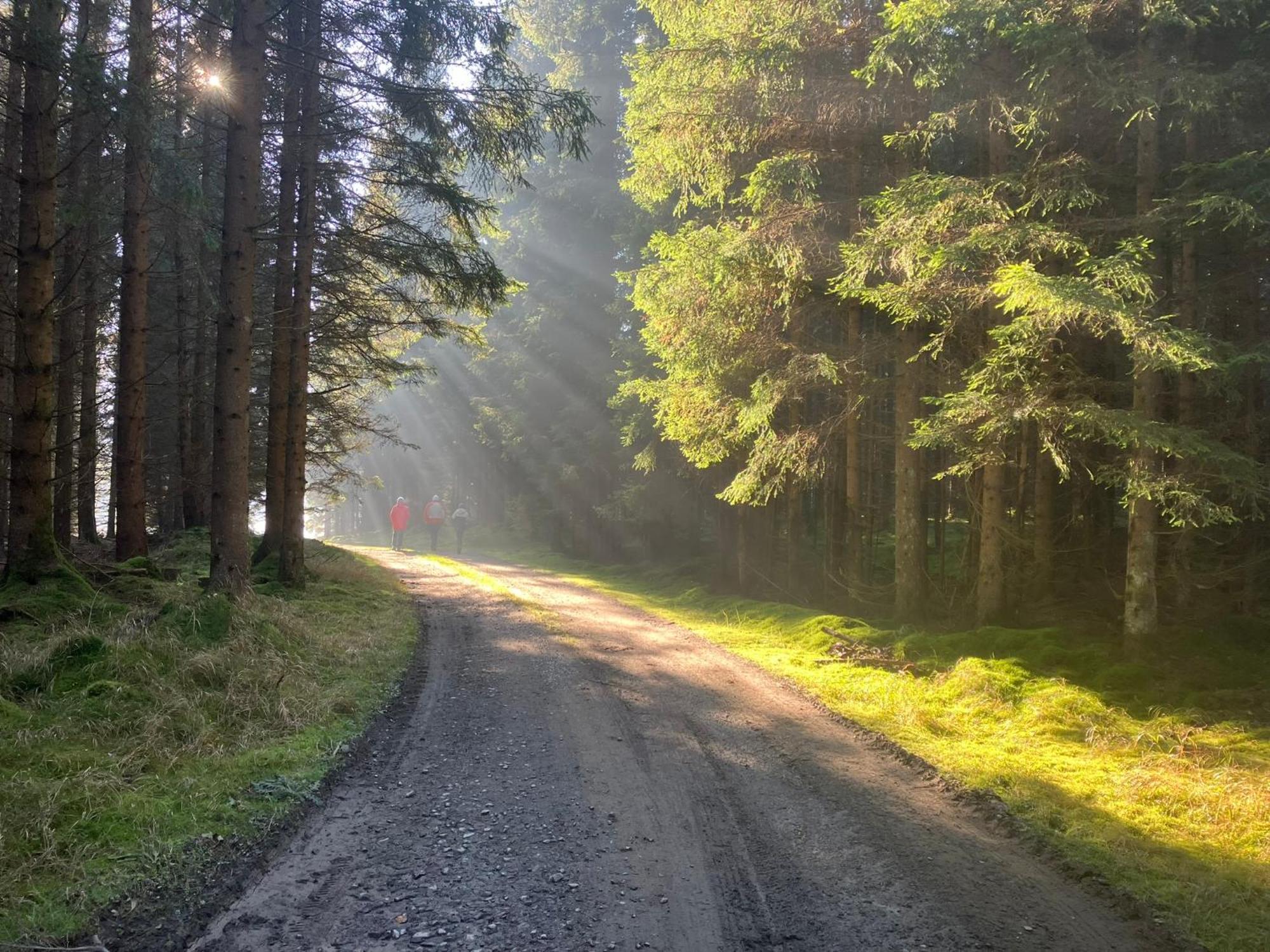 Chalupa Ostruvek Tachov  Exteriör bild