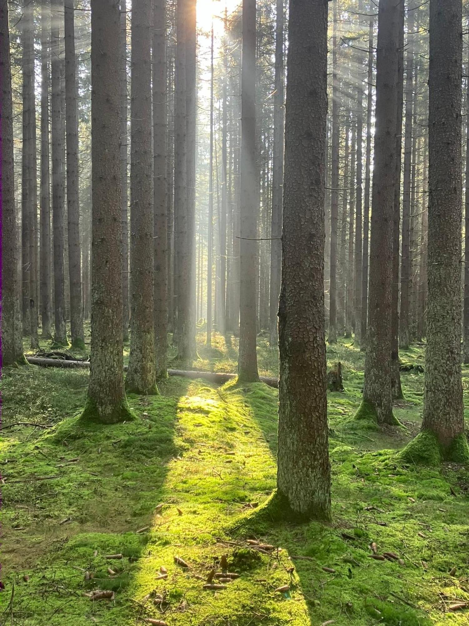 Chalupa Ostruvek Tachov  Exteriör bild