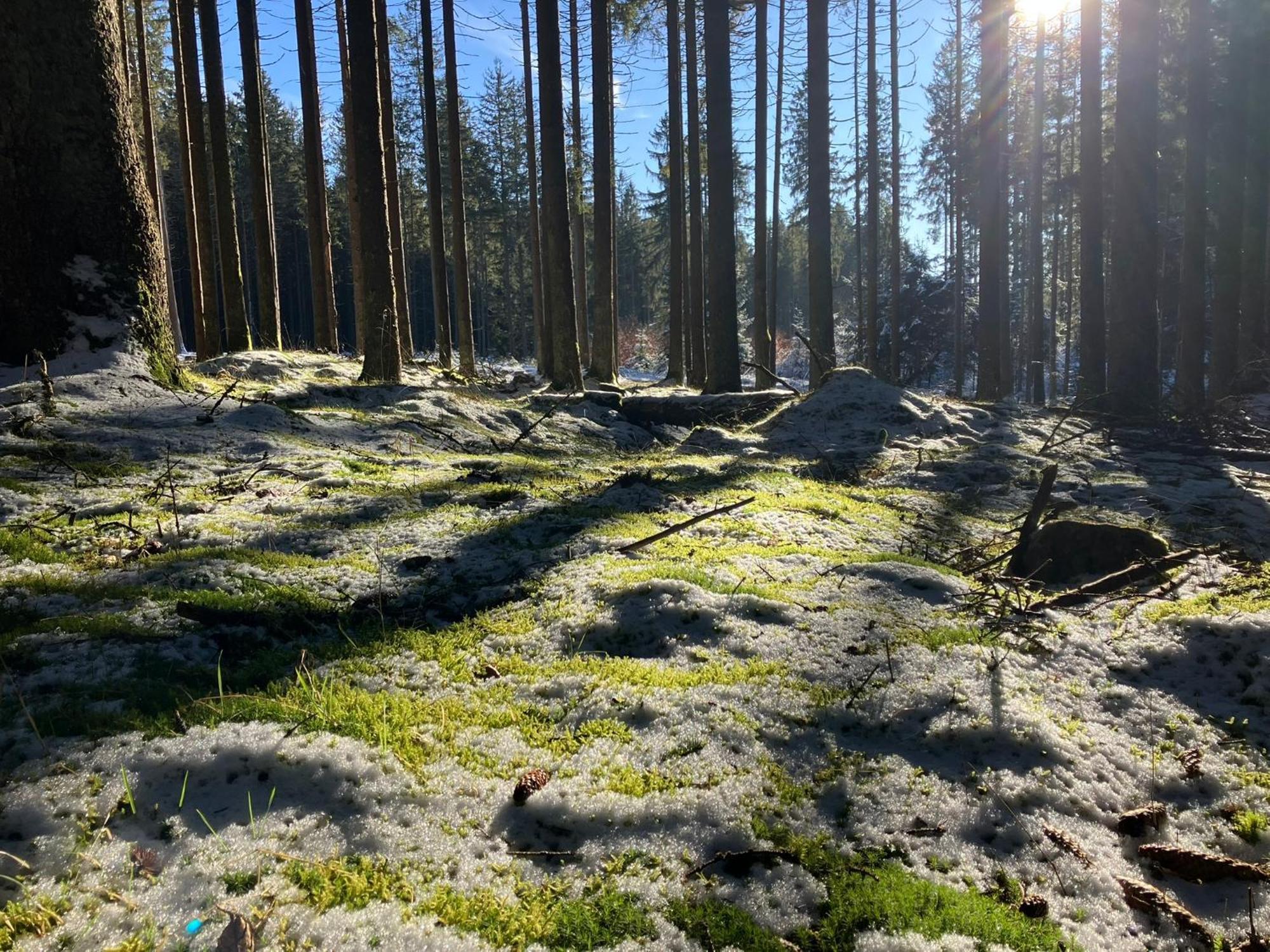 Chalupa Ostruvek Tachov  Exteriör bild